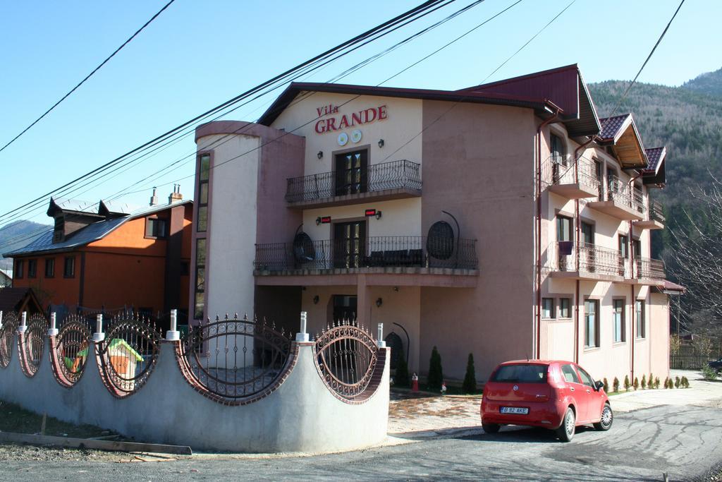 Pensiunea Grande Lepşa Dış mekan fotoğraf